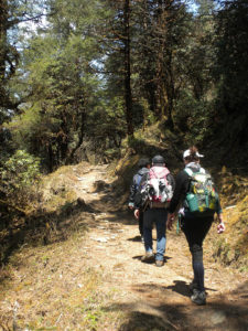 Trekkers on the way to Kamo Danda, the first overnight halt on the Dudh Kunda trail in the Everest area of Nepal