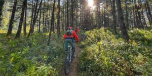 Down in Lete we are back in forest on the Annapurna circuit